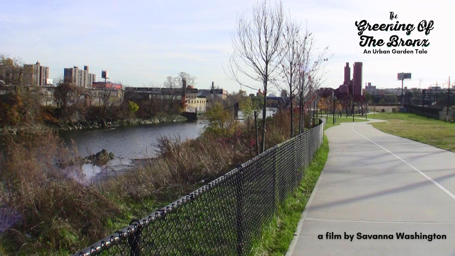 Greening of the Bronx: An Urban Garden Tale