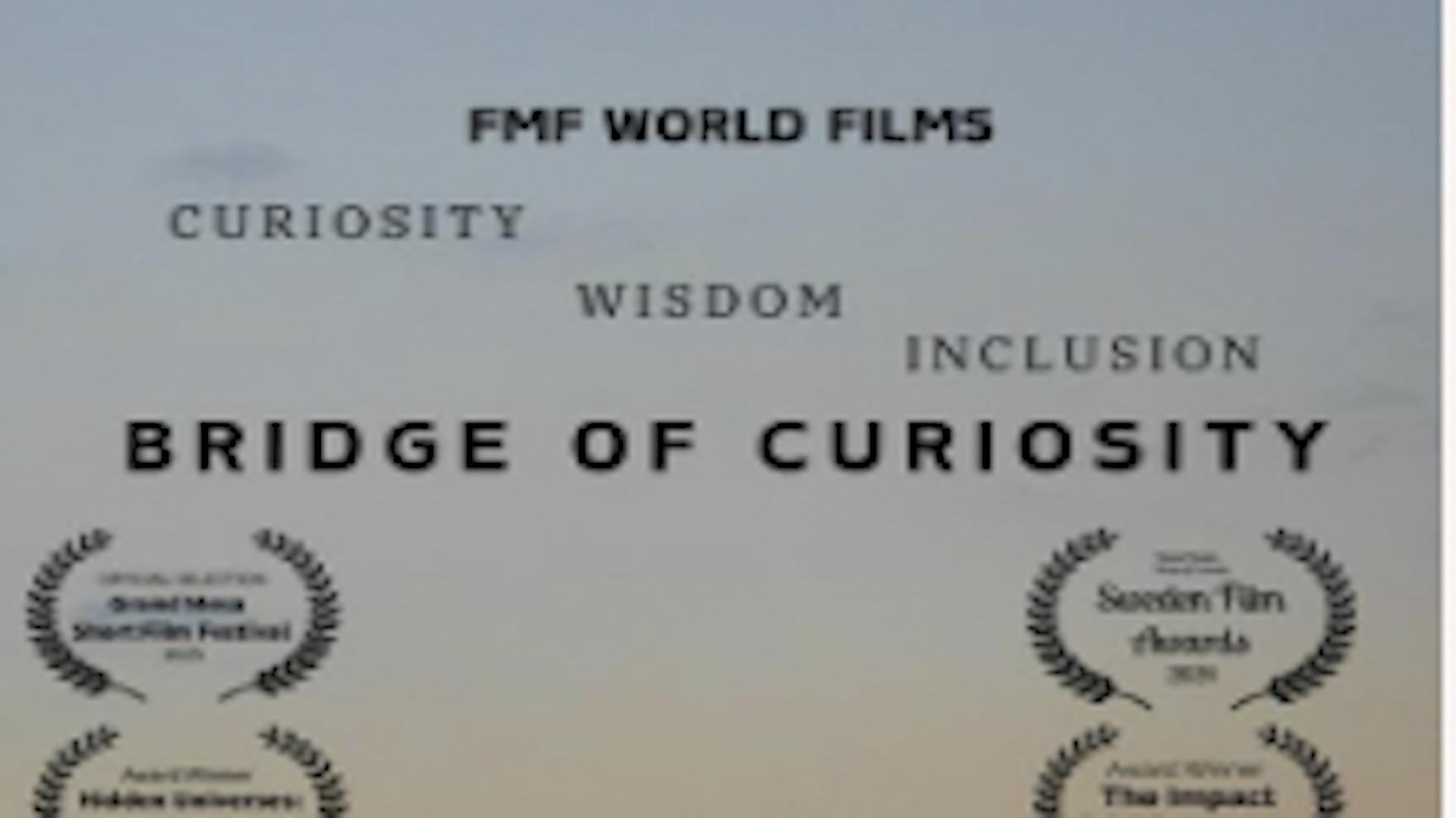 Bridge of Curiosity