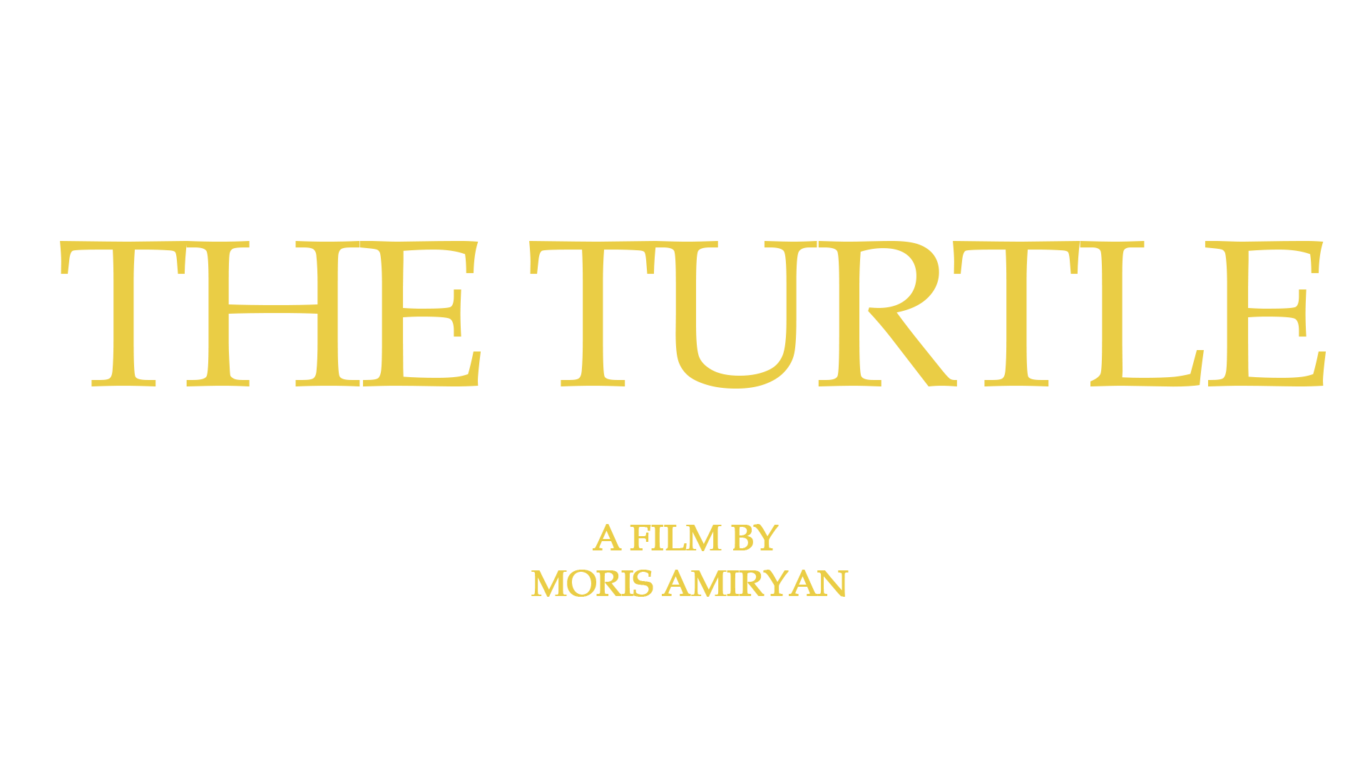 The Turtle