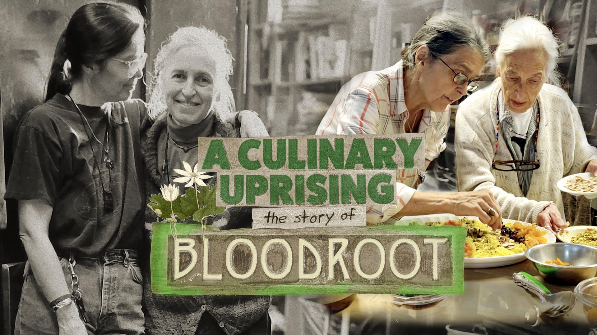 A Culinary Uprising: The Story of Bloodroot