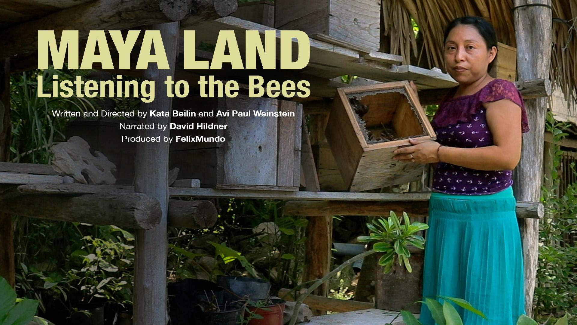 Maya Land: Listening to the Bees
