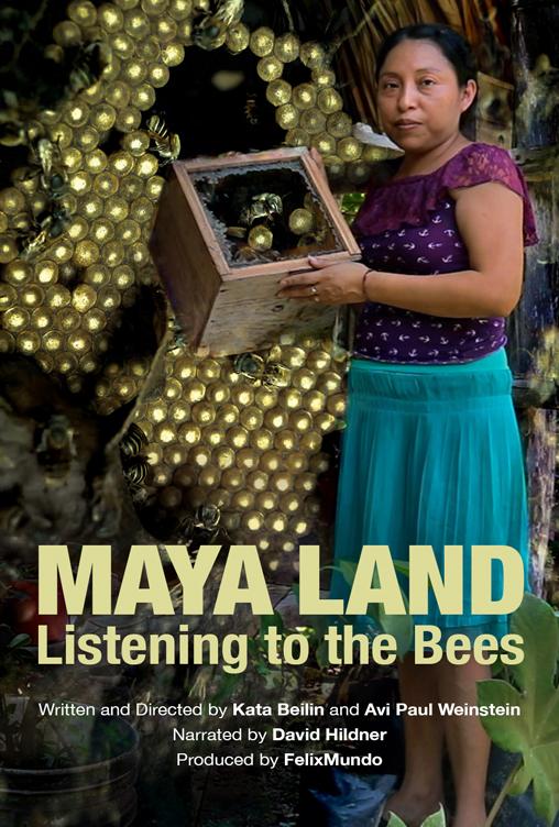 Maya Land: Listening to the Bees