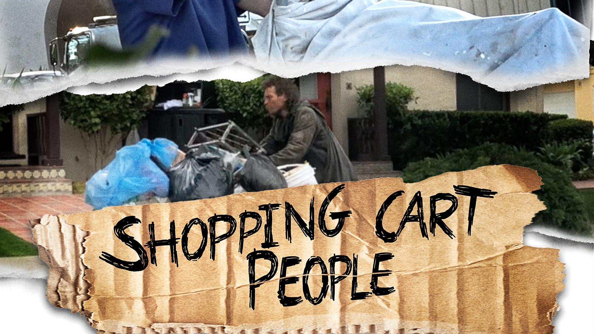 Shopping Cart People