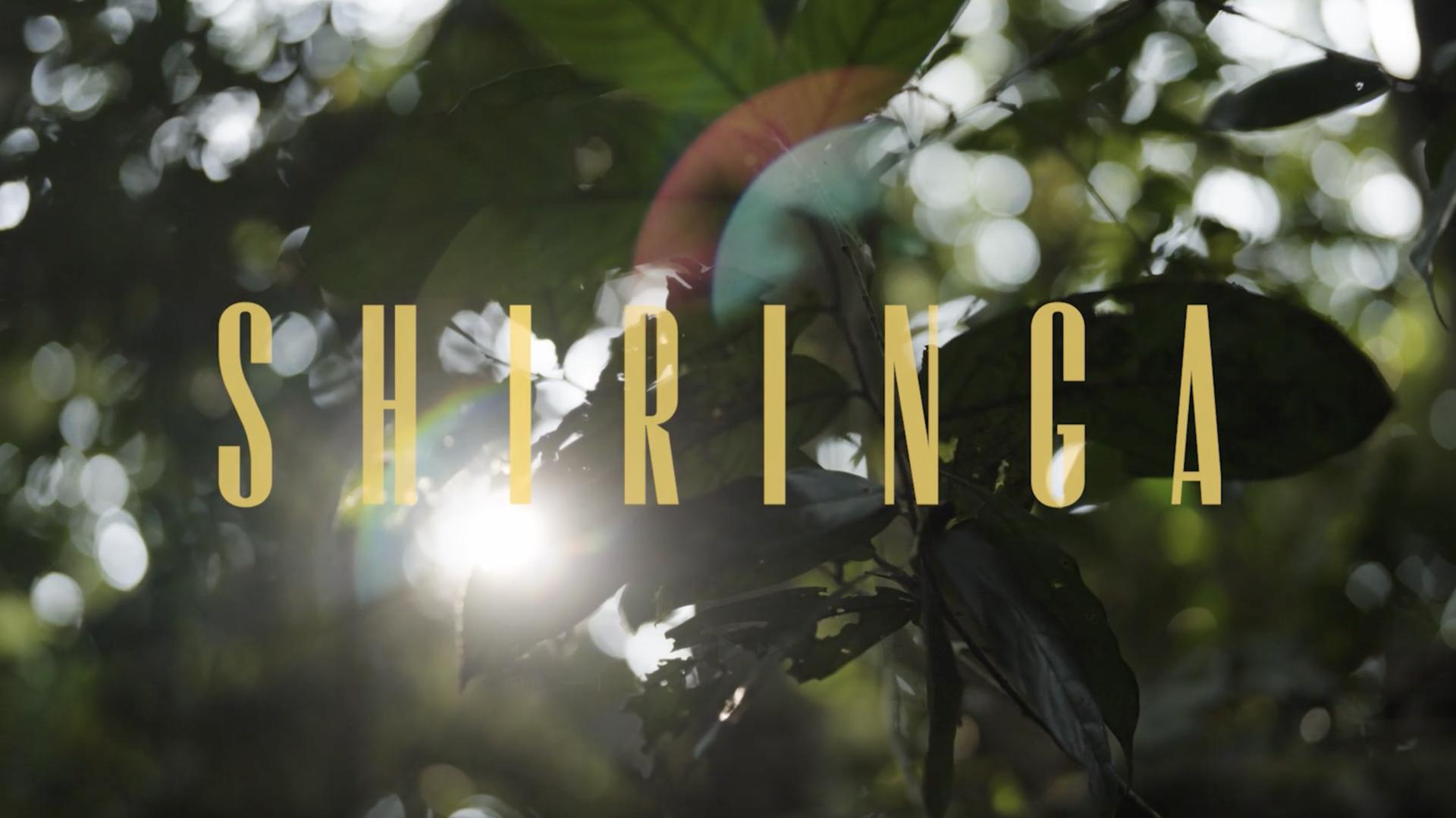 SHIRINGA: Fashion regenerating Amazonia